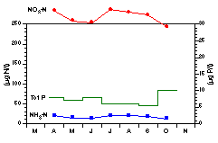 Totalfosfor-, ammonium-, och nitratkv