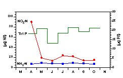 Totalfosfor-, ammonium-, och nitratkv